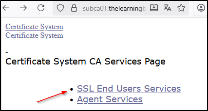 35_cn_learningbook_pki_practice_create-nginx-cert